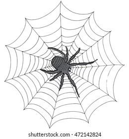 Spider sitting on a web. Insect. Poisonous spider. Line art. Black and white drawing by hand. Doodle. Tattoo.
