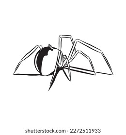 Spider sketch 5 vector isolated on white