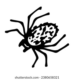 Spider sketch. Arthropod dangerous insect. Hand drawn illustration.