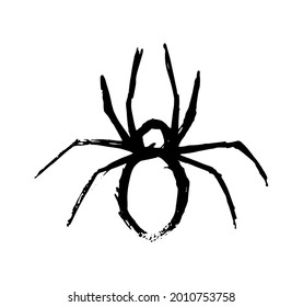 ilustración vectorial de araña en fondo blanco