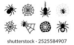 Spider and spider