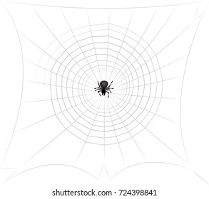 Spider in spiders web lurking for prey. Isolated vector comic illustration on white background.