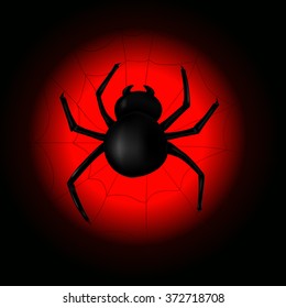 Spider with spider's web on the background of the  moon. Vector illustration