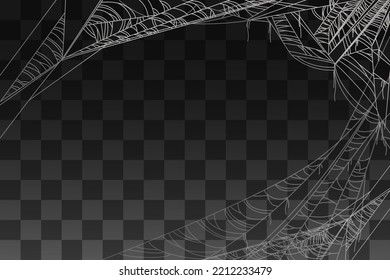 Spider spooky web decoration for background vector illustration on transparent background