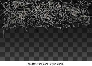 Spider spooky web decoration for background vector illustration on transparent background