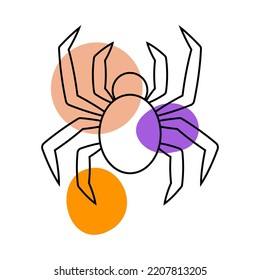 Spider im Stil der Linienkunst mit farbigen Flecken. Vektorgrafik