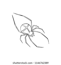 Spider is a symbol of phobias and horrors. Design for Halloween.