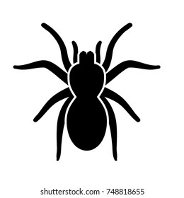 Spider or tarantula black icon .