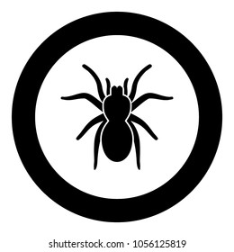 Spider or tarantula black icon in circle