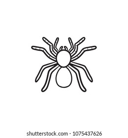 Spinnen Tarantula handgezeichnet Umriss-Doodle-Symbol. Insektenspinne tarantula, Vektorgrafik für Druck, Web, Mobil und Infografiken einzeln auf weißem Hintergrund.