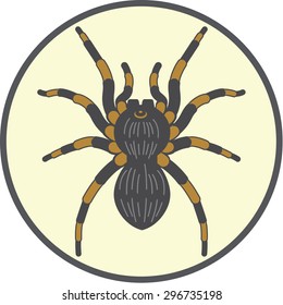 spider tarantula icon