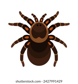 Spider tarantula insect flat style vector illustration