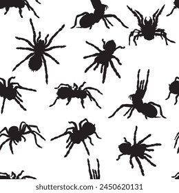 spider, tarantula, pattern, insect, danger, bite, black, vector, graphics, design, sign, image, isolated, illustration, picture, large, eyes, fang, hairs, paws, object, drawing, symbol