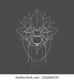 Spider Tarantula and Sacred symbol LOTUS on black background. Abstract mystic sign. White linear shape.