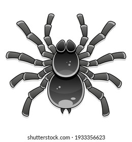 11,018 Tarantula vector Images, Stock Photos & Vectors | Shutterstock