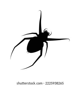 Spider tarantulas arachnid insect icon | Black Vector illustration |