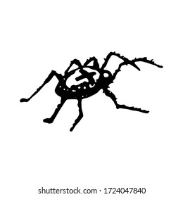 spider, tarantula.Witchcraft and halloween attributes doodles. demonic, spirituality stuff, signs and symbols.animals. Vector illustration isolated on white background.Tattoo