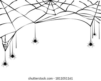 spider and torn web. Scary spiderweb of halloween symbol. Isolated on white background.