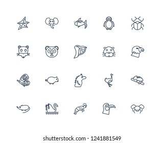 Spider, Toucan, Prawn, Swan, Mouse, Beetle, Panther, Horse, Butterfly, Panda bear, Goldfish outline vector icons from 20 set