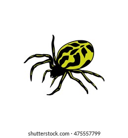 Spider two tone isolated on white background. Vector spider 