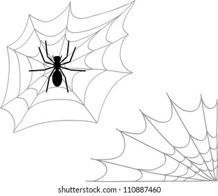 Spider and two types of cobweb, vector illustration