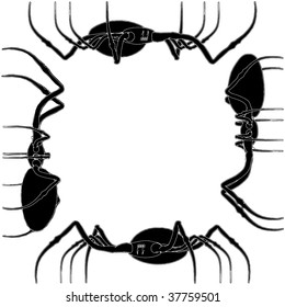 Spider Vector 02
