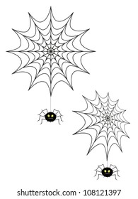 Spider - vector