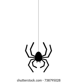 spider vector