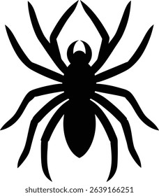 Spider Vector Art and Graphics