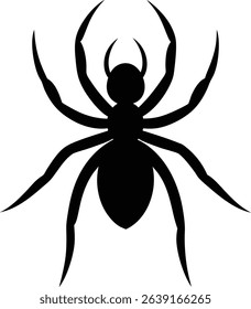 Spider Vector Art and Graphics