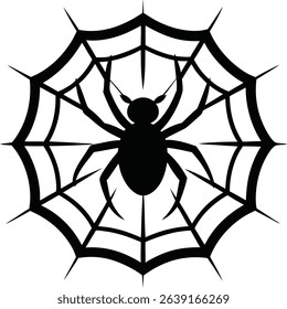 Spider Vector Art and Graphics