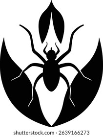 Spider Vector Art and Graphics