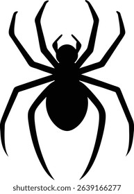 Spider Vector Art and Graphics