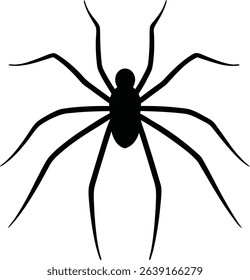 Spider Vector Art and Graphics