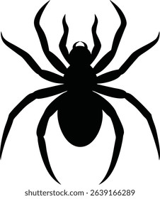 Spider Vector Art and Graphics
