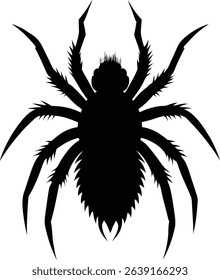 Spider Vector Art and Graphics