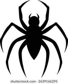 Spider Vector Art and Graphics