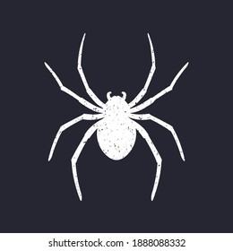 spider vector art on dark