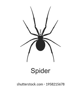 Spider vector black icon. Vector illustration pest insect spider on white background. Isolated black illustration icon of pest insect.