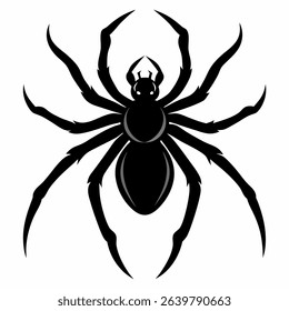 Spider vector black with white background