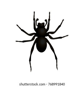 spider vector cartoon