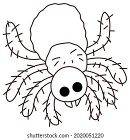 spider vector comic catoon , on white background, animal catoon vecto, hand write and drawing, Coloring exercises for children concept, child meditation concept