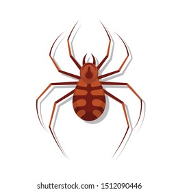 Spider vector design illustration isolated on white background