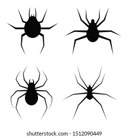 Spider vector design illustration isolated on white background