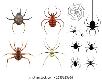 Spider vector design illustration isolated on white background