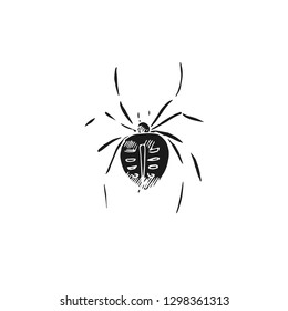 spider vector doodle sketch isolated on white background