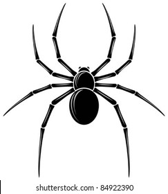 spider vector icon