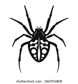 Spider vector icon. Black silhouette of spider. Insect icon isolated. Vector illustration. Spider logo in flat style