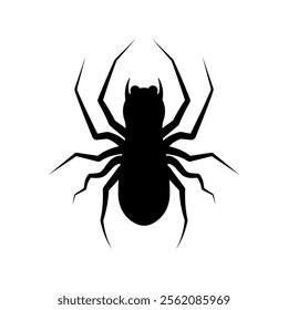 Spider vector icon. halloween illustration sign. insect symbol. spiderweb logo. A vector illustration of a classic iconic spider