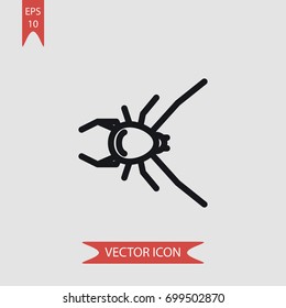 Spider vector icon illustration symbol